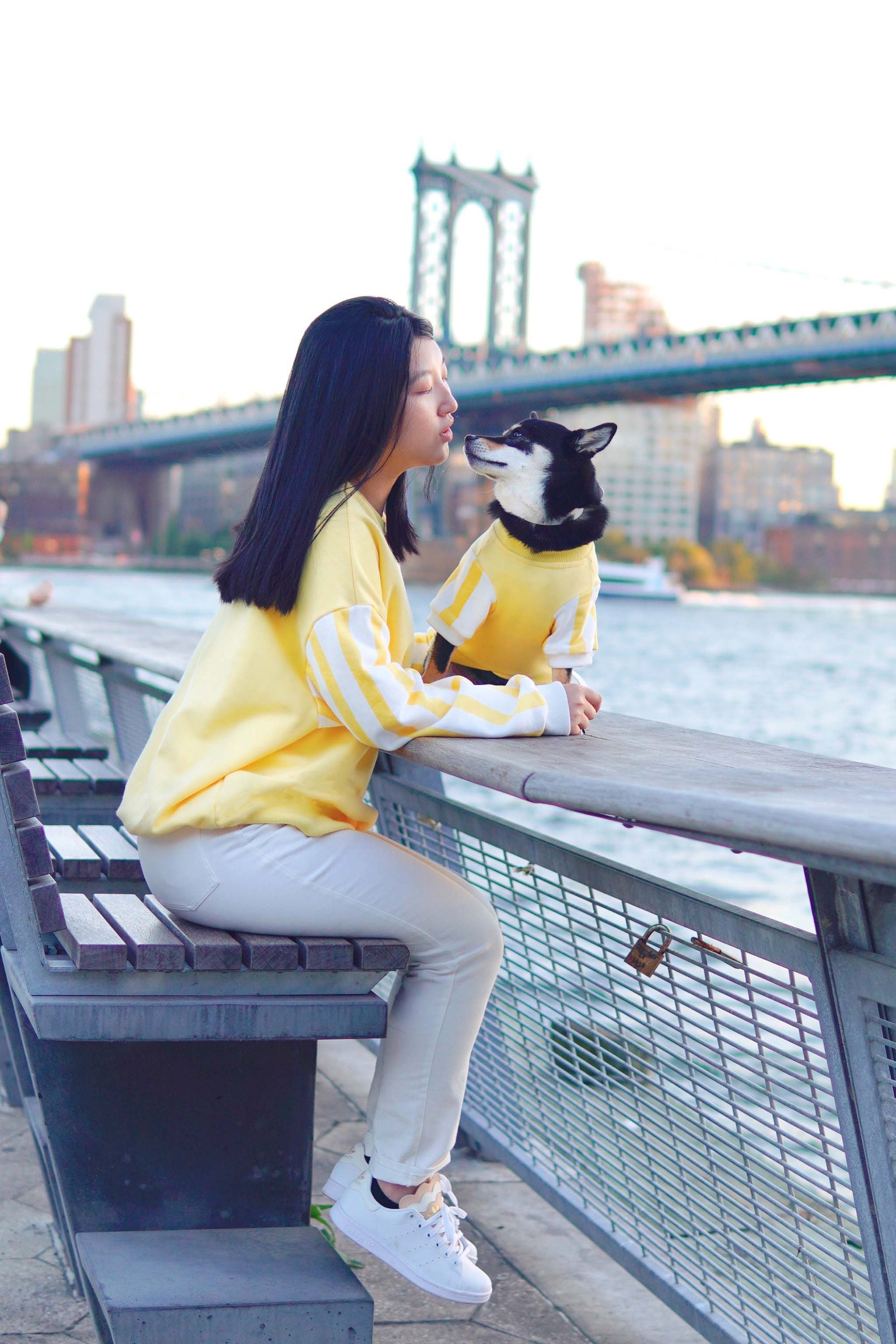 Roaming Matching Dog Sweatshirt | & Owner Designer Brand Gift Clothing Twinning With