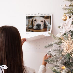 Op de afbeelding: Een wandkalender met een foto van een Golden Retriever-hond. De kalender is open op de januari-pagina. Een kerstboom met versieringen staat op de achtergrond.