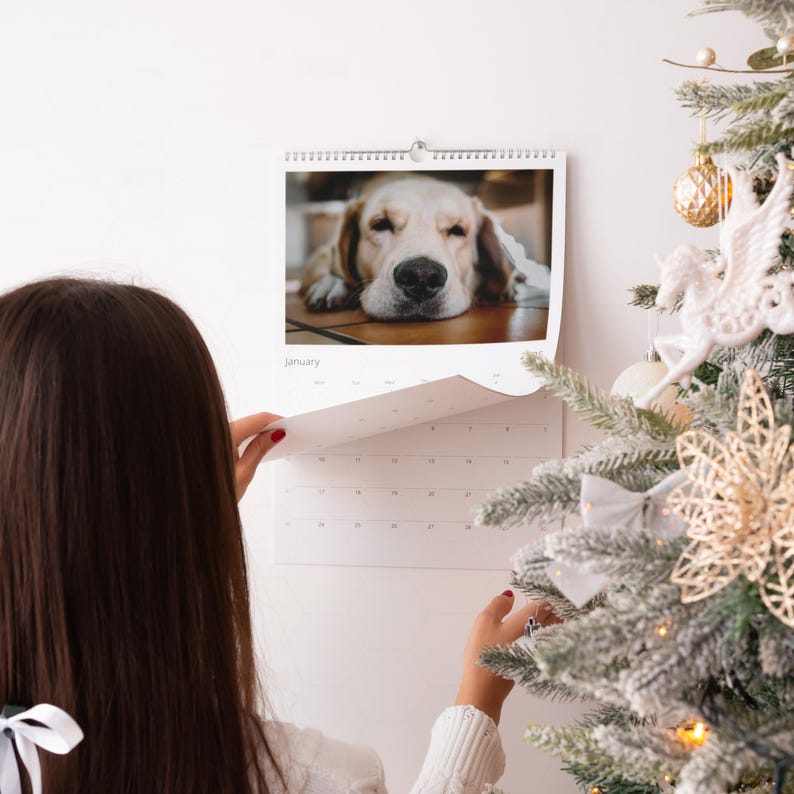 Op de afbeelding: Een wandkalender met een foto van een Golden Retriever-hond. De kalender is open op de januari-pagina. Een kerstboom met versieringen staat op de achtergrond.