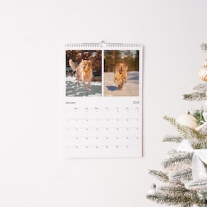 Op de afbeelding: Wandkalender voor 2026 met twee foto's van golden retrievers in de sneeuw. De kalender is wit met een spiraalbinding en de maand januari is zichtbaar. Een kerstboom is zichtbaar op de achtergrond.
