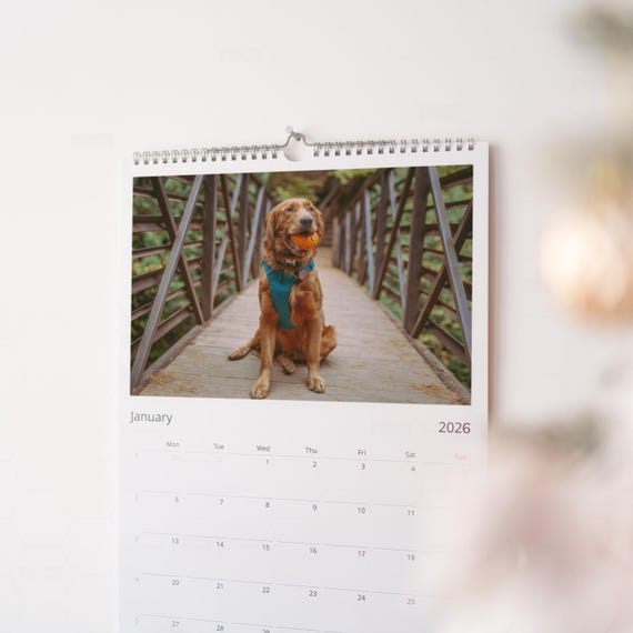 Personalized Dog Calendar 2027, Custom Pet Photo Gift, Unique Wall Calendar With Your Photos, Christmas Gift for Pet Lovers