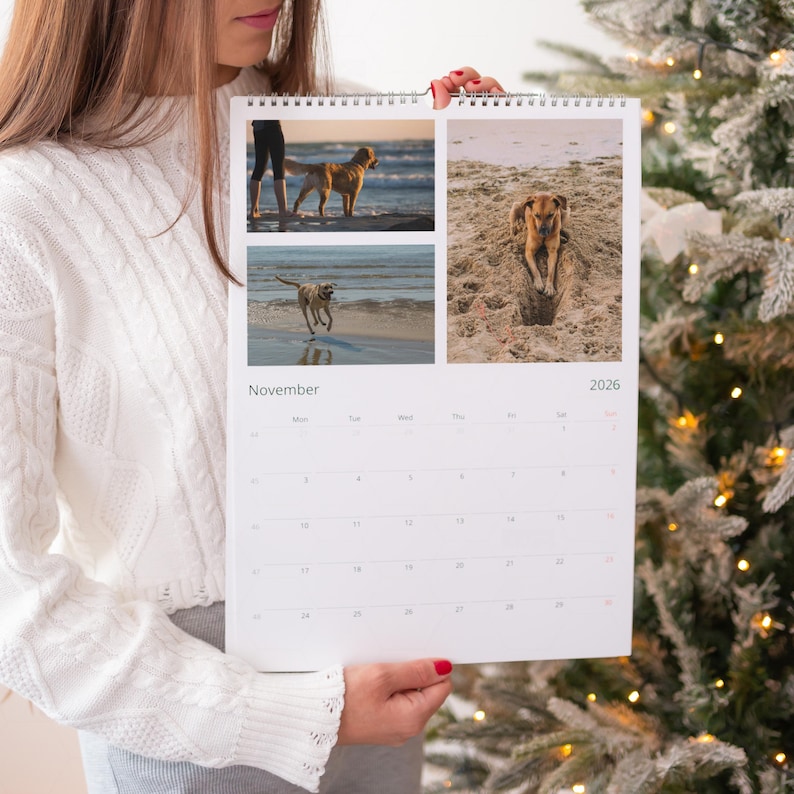 Op de afbeelding: Een witte kalender voor 2026 met drie foto's van honden op het strand. De kalender toont de maand november. De kalender wordt vastgehouden door een persoon die een witte trui draagt.