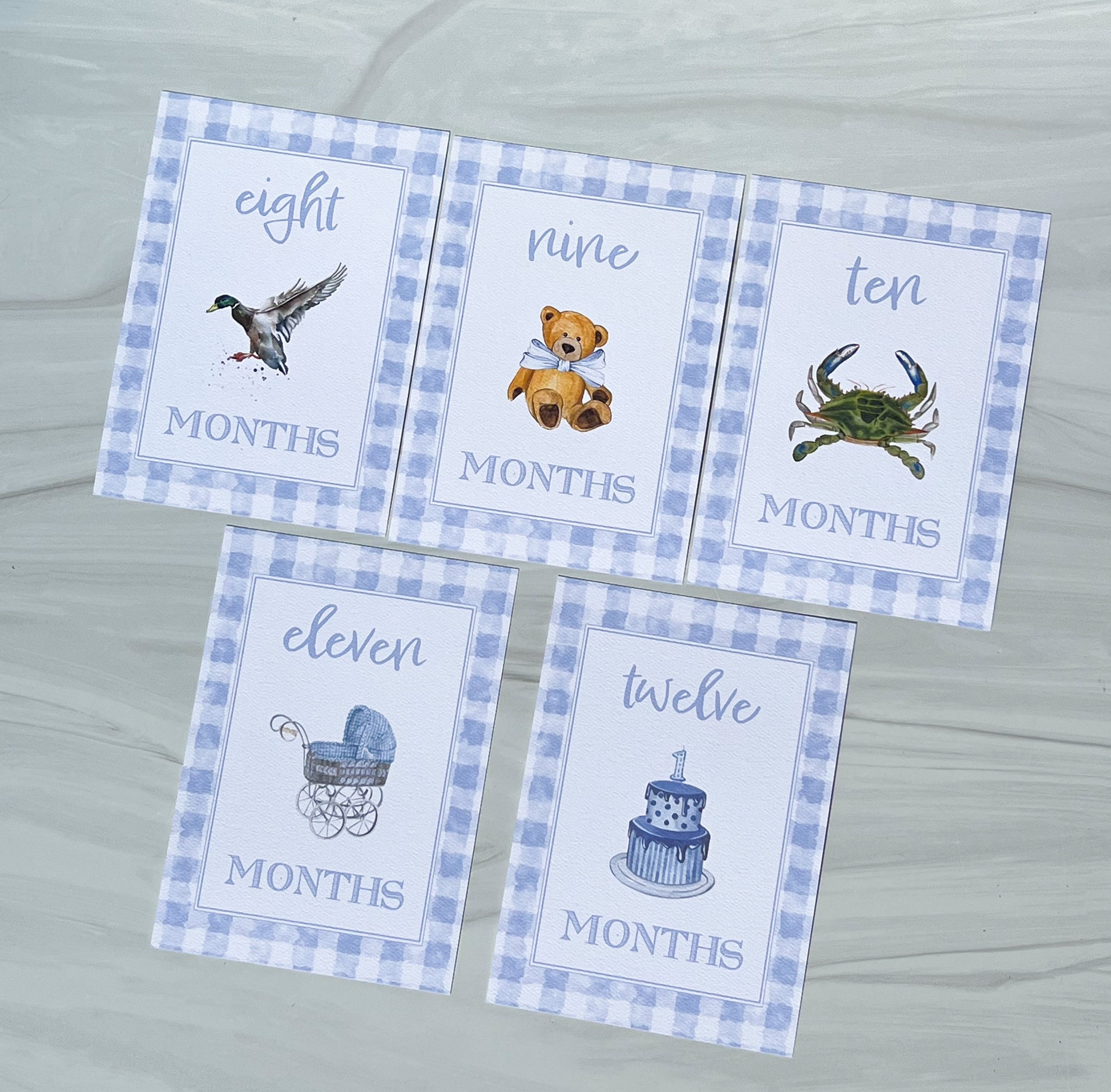 GINGHAM Blue Boy Baby Milestone Cards Watercolor Baby - Etsy
