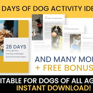 28 Days Of Dog Training Games, Challenges and Enrichment Ideas