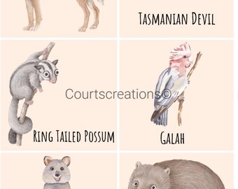 Indigenous Australian Animal Cards