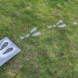 Peut inclure: Un pochoir représentant des empreintes de lapin sur un morceau de papier gris. Le pochoir est posé sur de l'herbe verte. Il y a des empreintes de lapin peintes en blanc sur l'herbe.