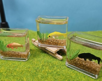 Mini Aquarium in 1/12 Scale as an Accessory for Gnomes or