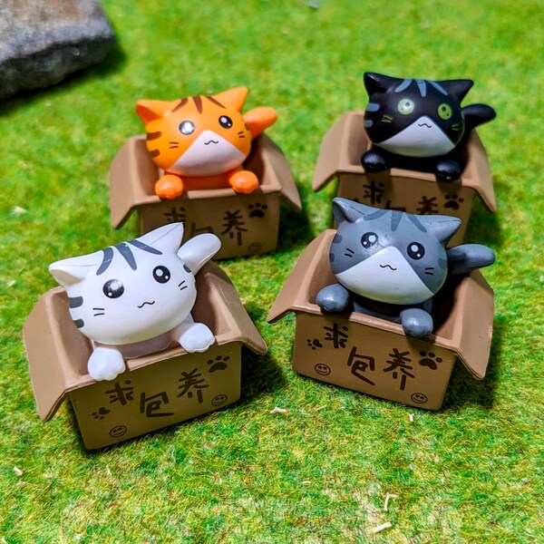 Mini cat in a box "Lucky Cat" gnome or dollhouse - Mini pet for the gnome or as gnome accessory or dollhouse
