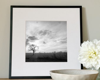 black and white tree photograph - modern neutral home decor, monochrome landscape photo