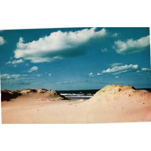 Carte postale vintage Cape Cod Sand Dunes par Mike Roberts couleur naturelle