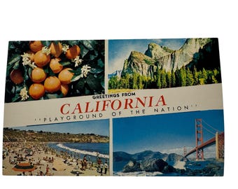 Vintage Greetings From California Postcard Playground Of The Nation Unused Linen Style Landscape Images