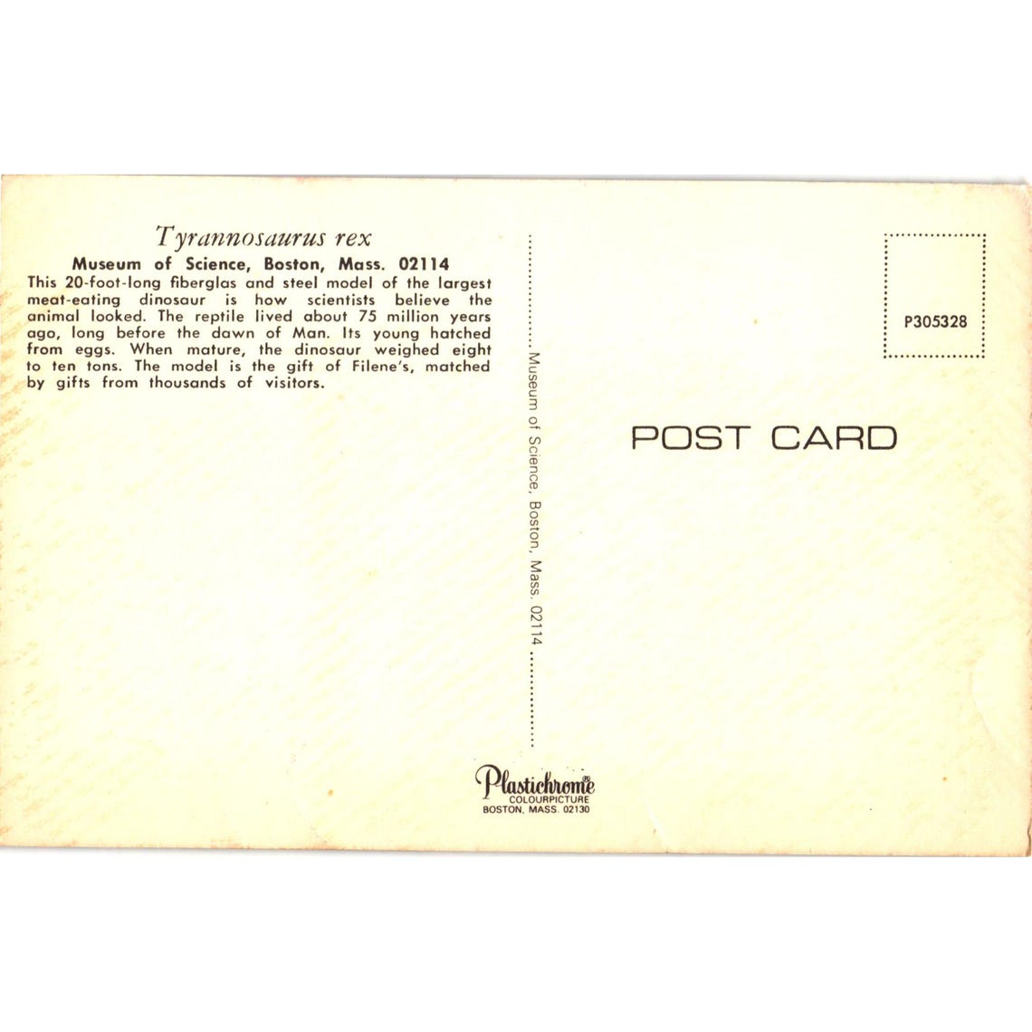 Rex Postcards Tyrannosaurus Rex Postcard Museum of Science Boston Vintage Collectible ...