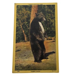 carte postale vintage du parc national de Yosemite " Bonjour les gens !" Illustration de l'ours