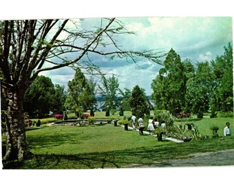 Johore Bahru Garden Scenic Postcard By Johore Government S W Singapore