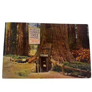 Carte postale vintage Cabane dans un arbre de renommée mondiale, croyez-le ou pas, séquoia naturel
