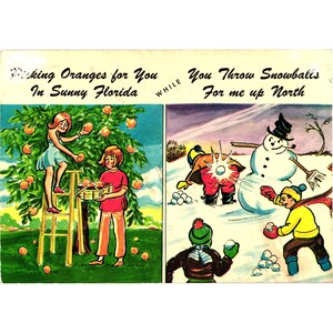 May include: Vintage postcard with two illustrated scenes. One shows people picking oranges in Florida, the other shows people throwing snowballs. Text reads "Picking Oranges for You In Sunny Florida WHILE You Throw Snowballs For me up North."