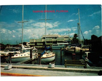 Vintage Tarpon Springs Florida Postcard Marina Boats Pappas Restaurant Scenic