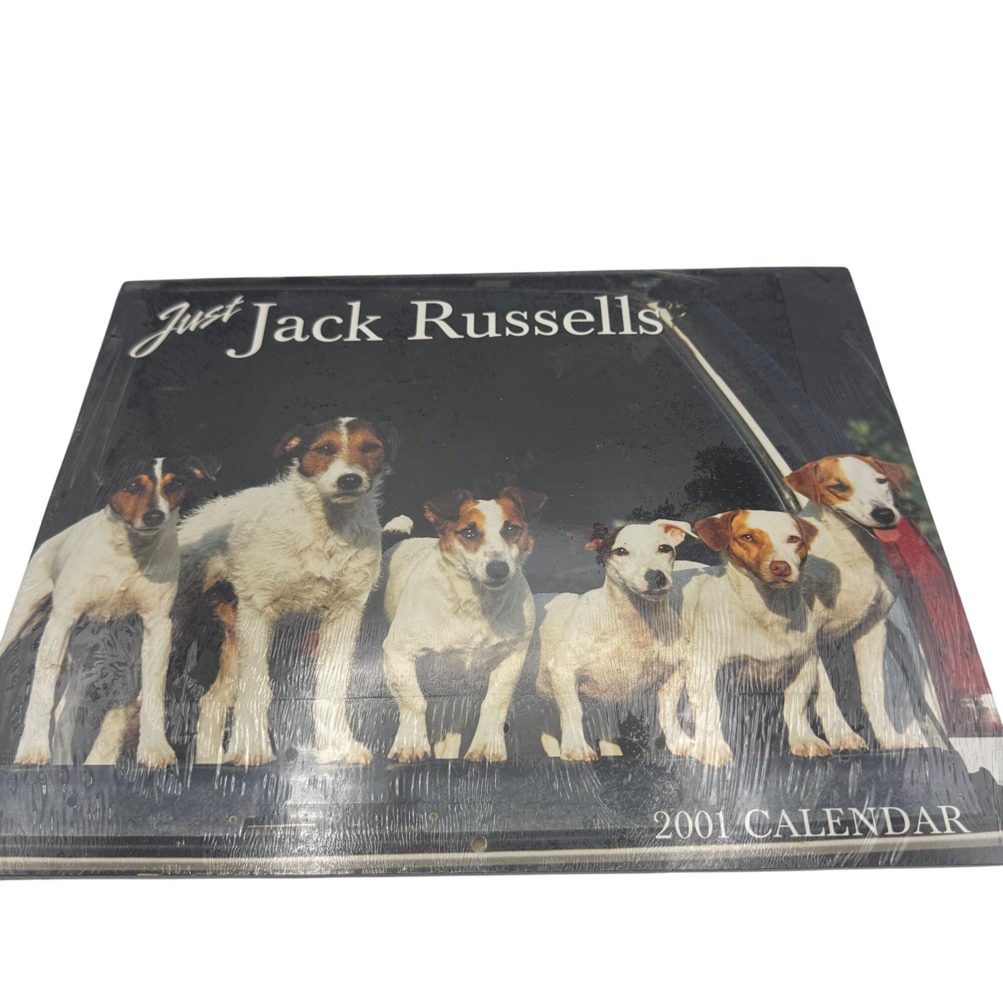 2001 Calendar - Etsy