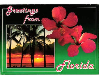Cartolina d'epoca della Florida con ibisco colorato, tramonto, palme, scena tropicale