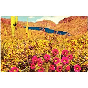 Könnte beinhalten: Eine Vintage-Postkarte mit einer Wüstenlandschaft. Die Szene zeigt einen blauen See, der von rotbraunen Bergen umgeben ist, mit gelben Wildblumen und rosa Kaktusblüten im Vordergrund. Hohe Kakteen und ein blauer Himmel vervollständigen das Bild.