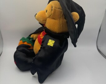Disney Winnie the Pooh Halloween Plush Witch 2000 Bear Collectible