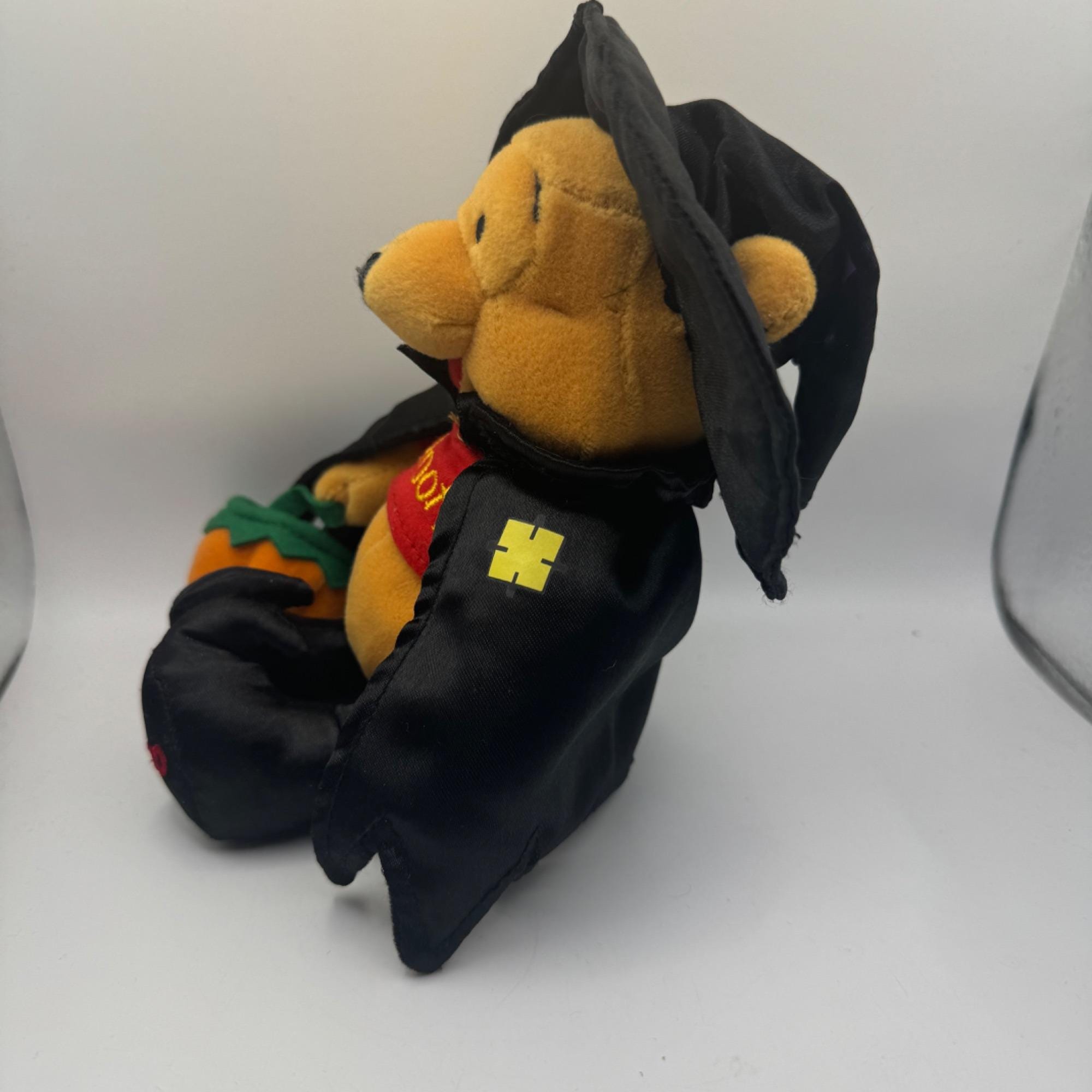 Disney Winnie the Pooh Halloween Plush Witch 2000 Bear Collectible