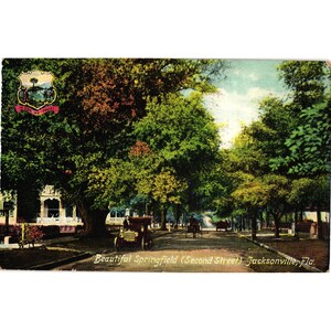 Carte postale vintage des années 1900 Belle série artistique Springfield Jacksonville Floride Floride