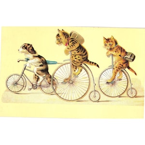 Carte postale vintage avec des chats et un chien à vélo