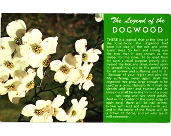 Dogwood Flower Die Legende der Hartriegel-Weinlese-Postkarte