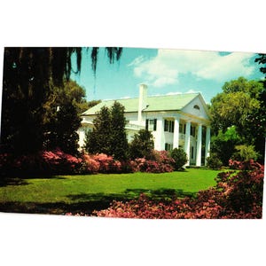 May include: A set of three ceramic nesting bowls in shades of blue, green, and white. The bowls feature a speckled glaze and a simple, modern design. The largest bowl is approximately 6 inches in diameter.