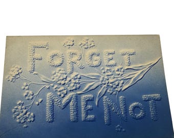 Antique Embossed Forget-Me-Not Postcard With Floral Design