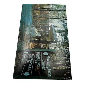 Carte postale vintage New England Center avec scène de chemin forestier