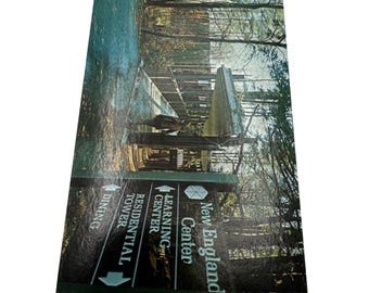 Vintage New England Center Postcard With Forest Path Scene