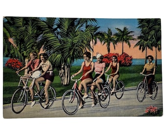 Vintage 1940s Palm Beach Florida Cycling Postcard