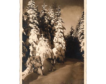 Vintage 1927 Winter-Waldschnee-Szenen-Postkarte St. Gallen Schweiz Versendet