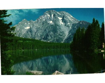 Mt. Moran & Leigh Lake Grand Teton National Park Wyoming 1950s Chrome Postcard