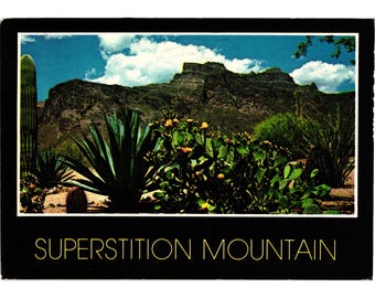 Superstition Mountain Postcard  Apache Junction Cactus Scene Plastichrome 1987