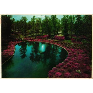 May include: Vintage postcard featuring a scenic view of a park with a pond and fountain. The pond is surrounded by vibrant red flowers and lush green trees. The postcard has a slightly aged appearance, suggesting it is an older item.