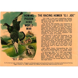 May include: Vintage print featuring a homing pigeon, titled "G.I. Joe," a World War II hero. The artwork depicts the pigeon in flight over a landscape with text detailing its heroic actions and the Dickin Medal. The print measures 17.5 x 23 inches.