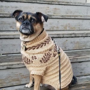 Peut inclure: Un petit chien brun et noir portant un pull en tricot beige avec un motif brun. Le chien est assis sur des marches en bois et porte une laisse noire.