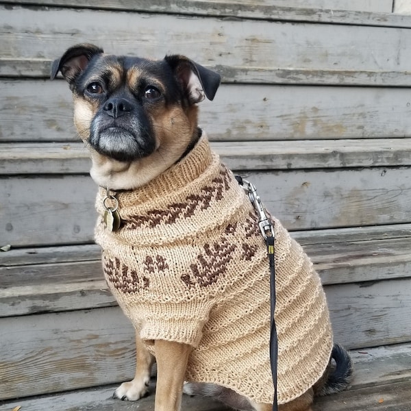 Fair Isle Dog Sweater Knitting Pattern - Knit Dog Sweater Pattern - Dog Dream Sweater