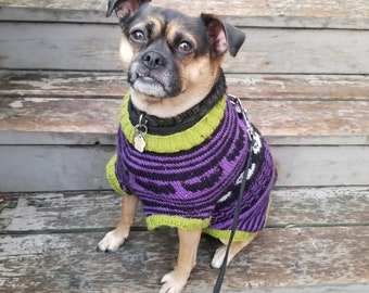 Este es el patrón del suéter para perro de Halloween