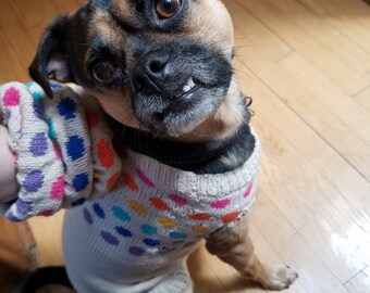 Patrón de tejido: paquete de colección Dottie de suéter y scrunchie para perros