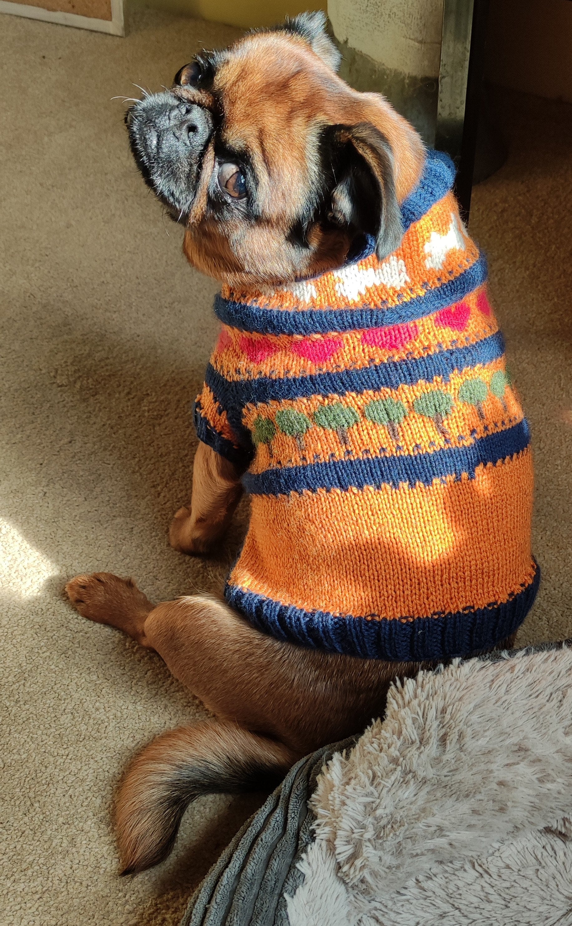 Fair Isle Dog Sweater Knitting Pattern Colorwork Knitting Etsy
