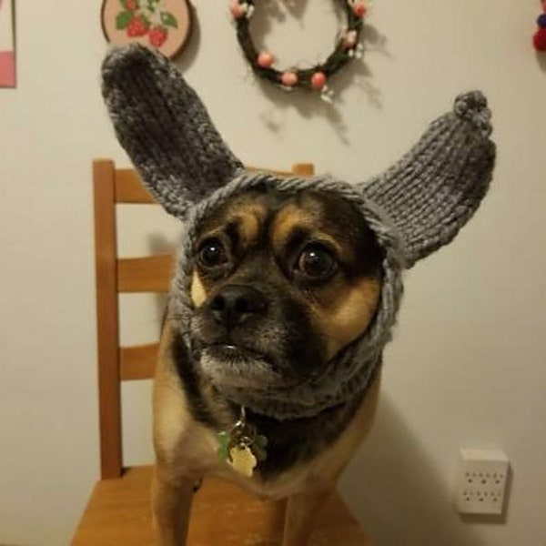 Dog Snood Knitting Pattern - Bunny Love Dog Snood