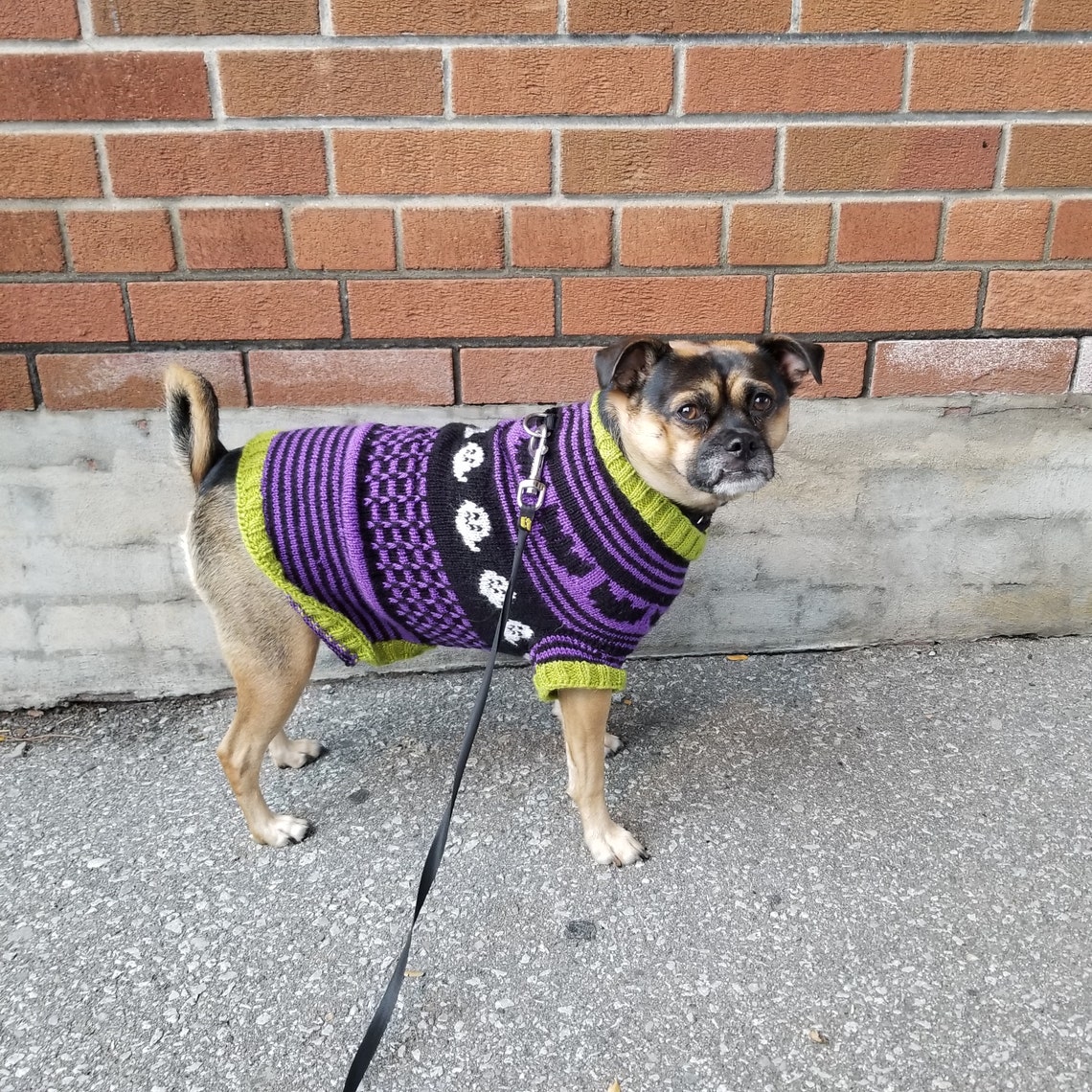 This is Halloween Dog Sweater Pattern Etsy