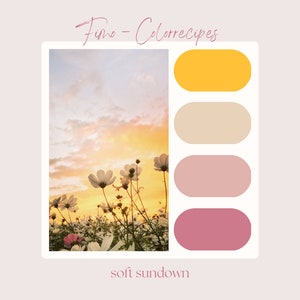May include: A color palette inspired by a field of white cosmos flowers against a sunset sky. The palette includes shades of yellow, beige, pink, and rose.