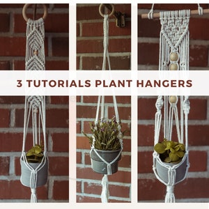 May include: Three macrame plant hangers with wooden beads. The hangers are made with white cord and are hanging from a brick wall. The hangers are holding small potted plants.