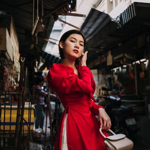 AO DAI Viet Nam Lemur Yan Le / Vietnamese Ao Dai geïnspireerd door Lemur Ao Dai jaren 1950/1960