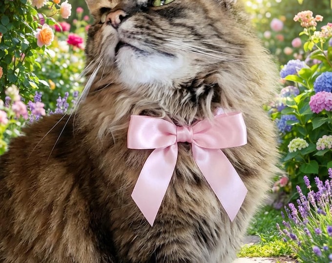 Cat picks your crystal (handmade bracelet included)